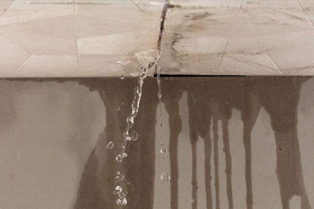 Professional Burst Pipe Cleanup technician working in Readyville, TN